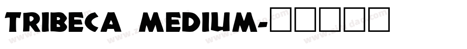 Tribeca Medium字体转换
